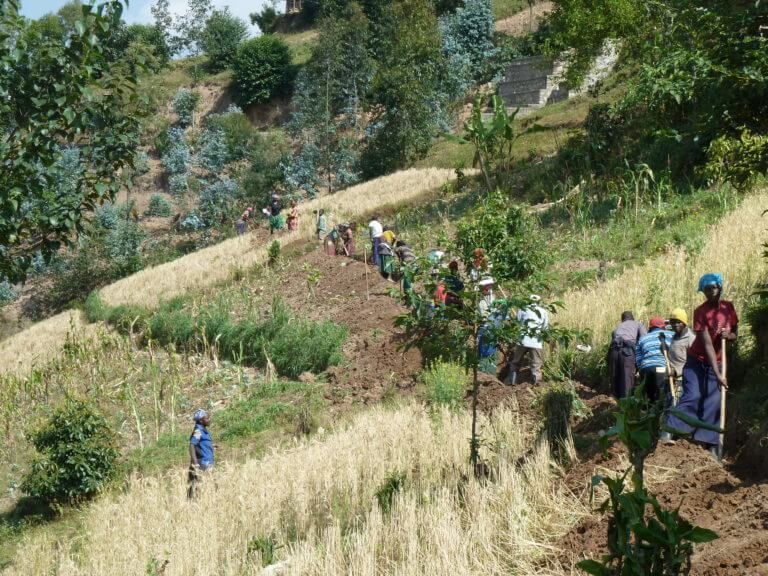 A group of people work on a terraced hillside farm in rural Rwanda.